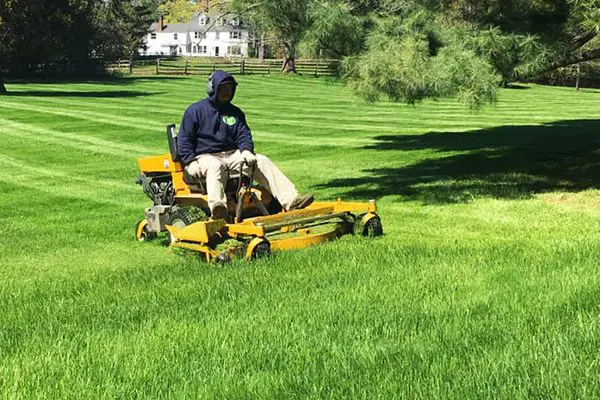 Cole Landscaping team member mowing a lawn