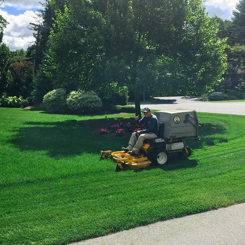property maintenance - cutting grass