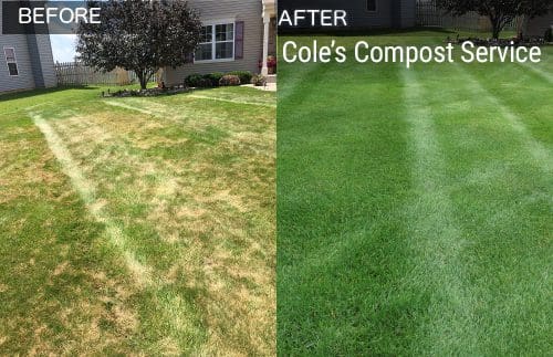 Lawn before and after compost topdressing