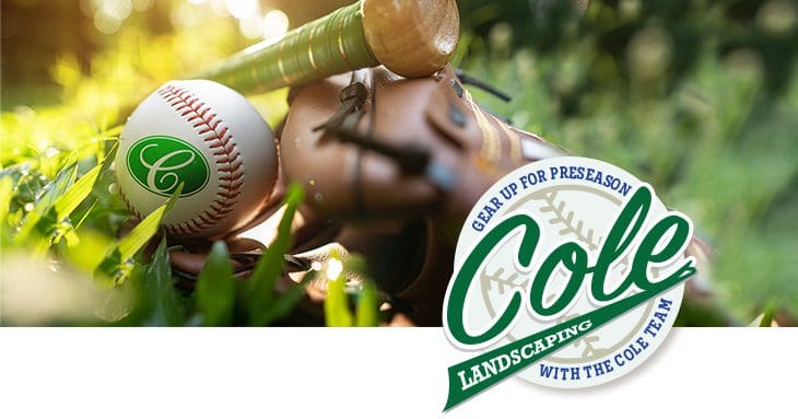 Closeup baseball with Cole logo on grass