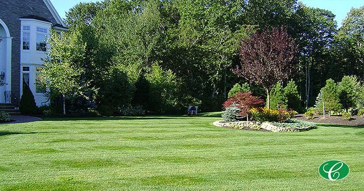 Side Yard of a house with well-manicured lawn