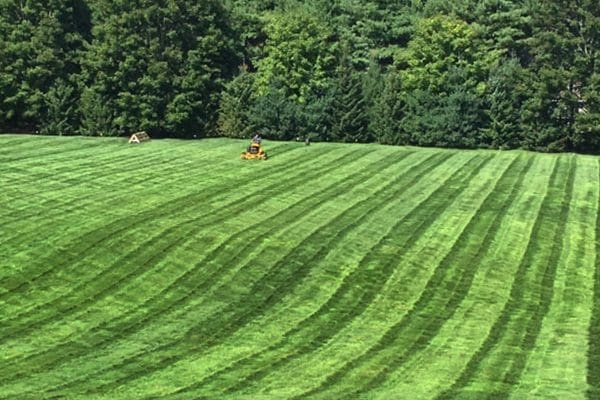 600x400-lawn-crew-services