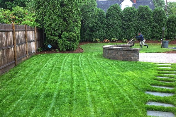 600x400-lawn-services2