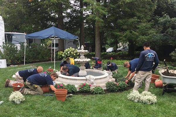 600x400-plantcare-services2