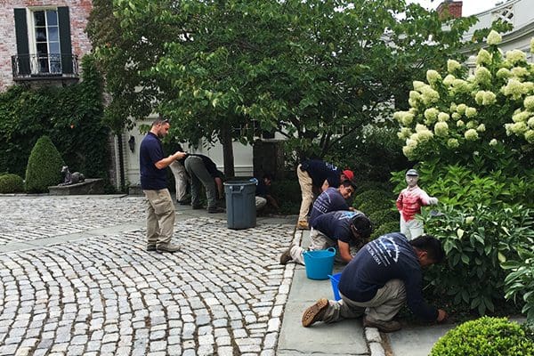 600x400-plantcare-services4