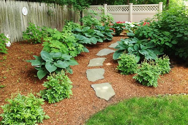 600x400-plantcare3