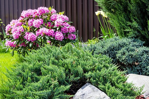 600x400-plantcare4