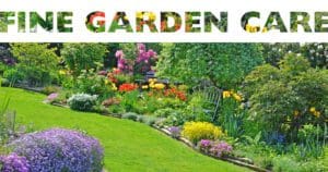 FIne garden with beautiful lawn, trees and perennials