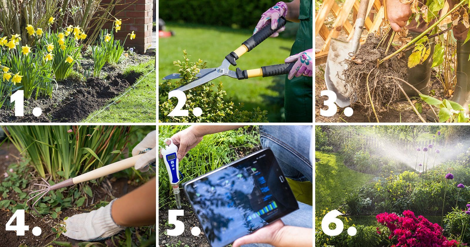 Six Areas of Fine Garden Care Management